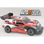 Carisma Micro Rally GT24R 1/24 RTR Brushless