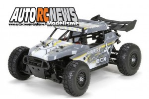 . ECX Roost 1/18 4WD Buggy Desert
