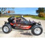 Carisma M10DB Baja Buggy 2WD