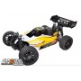 Pirate 8.6 RTR T2M
