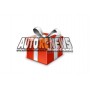 T2M Pirate 8.6 Buggy