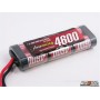 Avioracing Accus Nimh