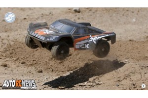 Ecx Torment 1/18