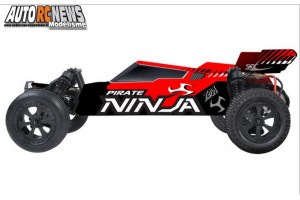 T2M Pirate Ninja