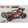 FG TR4 Truggy Elektro