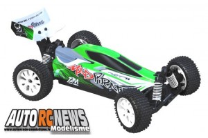 . Mad Pirate Brushless T2M