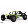 Axial Exo Terra Buggy RTR
