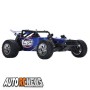 Losi 1/18 Mini Desert Buggy RTR