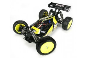 . Losi 4WD Brushless Buggy 1/14