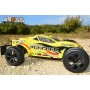 T2M Pirate Puncher