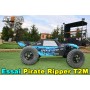 [Essai] T2M Pirate Ripper 1/10 T4946