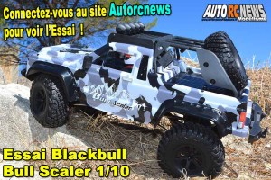 . [Essai] Blackbull Bull Scaler 1/10 RTR