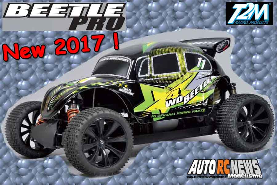 fg beetle pro 1/6ème thermique 4 x 4 réf : 540060 et 540060r rtr vendu par t2m