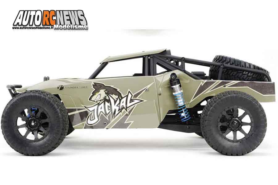 tt brushless thunder tiger jackal 1/10 rtr black édition buggy réf : t6544-f112 distribué par graupner
