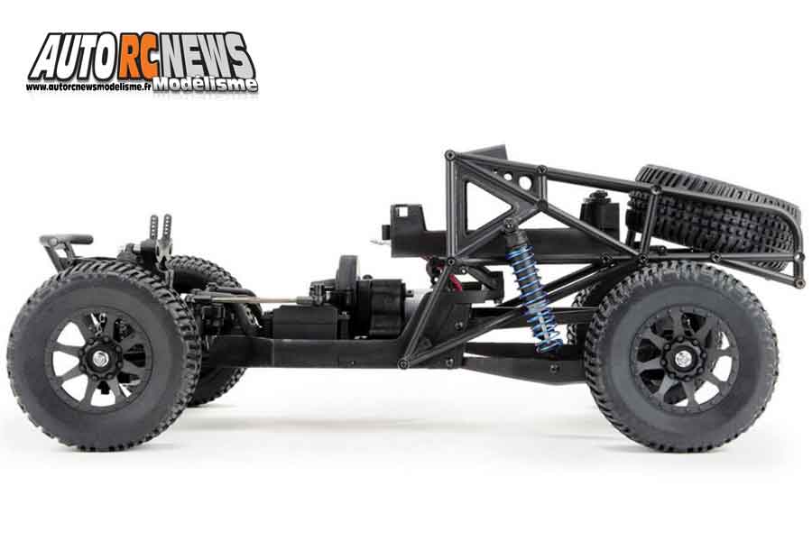 tt brushless thunder tiger jackal 1/10 rtr black édition buggy réf : t6544-f112 distribué par graupner