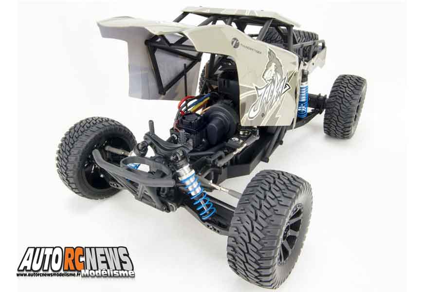 tt brushless thunder tiger jackal 1/10 rtr black édition buggy réf : t6544-f112 distribué par graupner