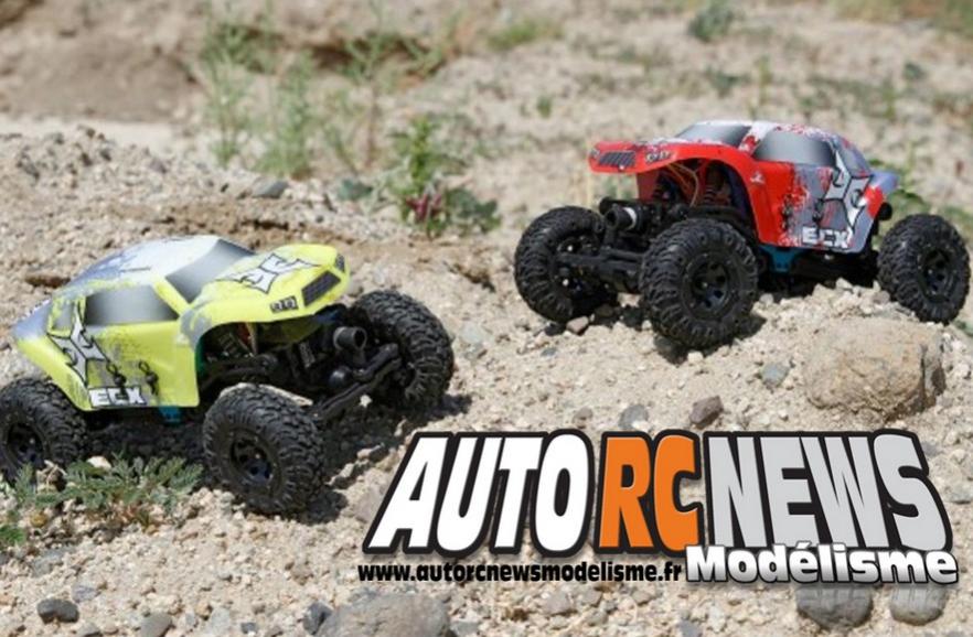 buggy ecx temper 1/24ème brushed 4 x 4 distribué par horizon hobby et par absolu modélisme