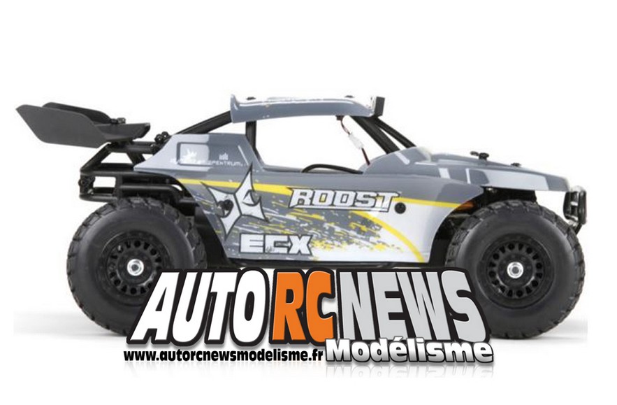 buggy ecx roost 1/18ème brushed 4 x 4 distribué par horizon hobby et par absolu modélisme buggy ecx roost 1/18ème brushed 4 x 4 distribué par horizon hobby et par absolu modélisme