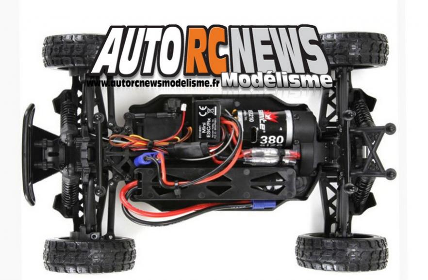 buggy ecx roost 1/18ème brushed 4 x 4 distribué par horizon hobby et par absolu modélisme