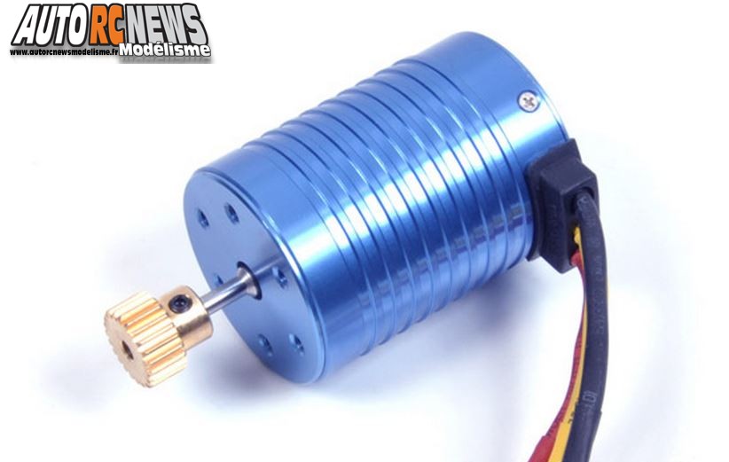T2M Moteur Brushless Pirate Crusher Ninja Invader #t4911-31 T2M Moteur Brushless Pirate Crusher Ninja Invader #t4911-31