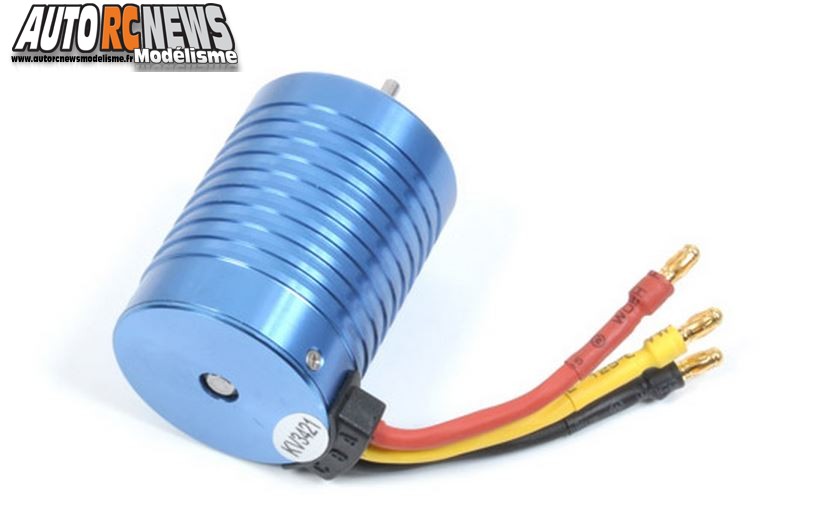 T2M Moteur Brushless Pirate Crusher Ninja Invader #t4911-31