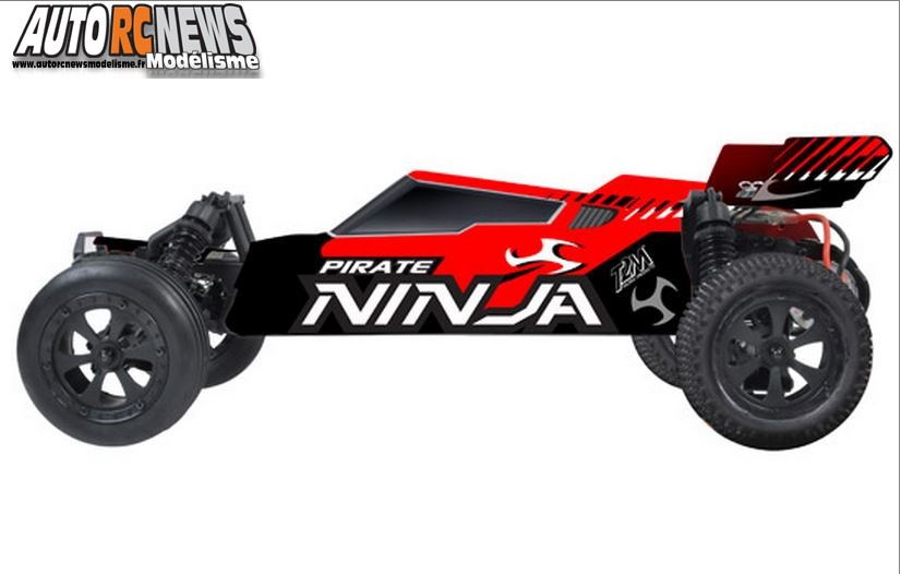Pirate Ninja T2M référence t4912. voiture radiocommandée électrique 4 x 2.modélisme autor/c. Pirate Ninja T2M référence t4912. voiture radiocommandée électrique 4 x 2.modélisme autor/c.