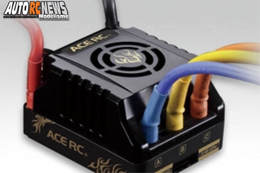 AutoRCNews sur ID 18781