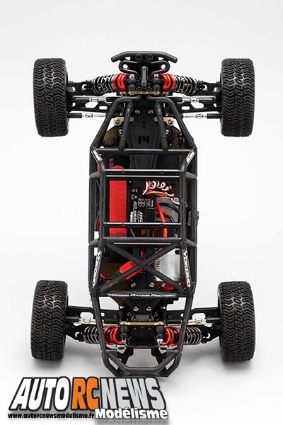 Yokomo Land Jumper 1/14 Buggy autorcnewsmodelisme.fr